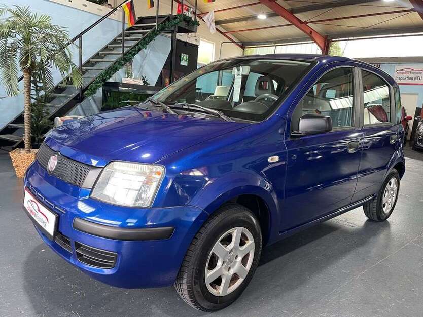 Panda
