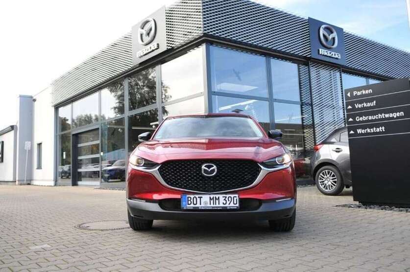 CX-30