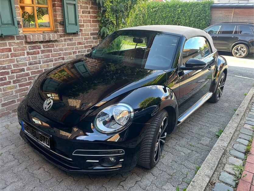 Beetle