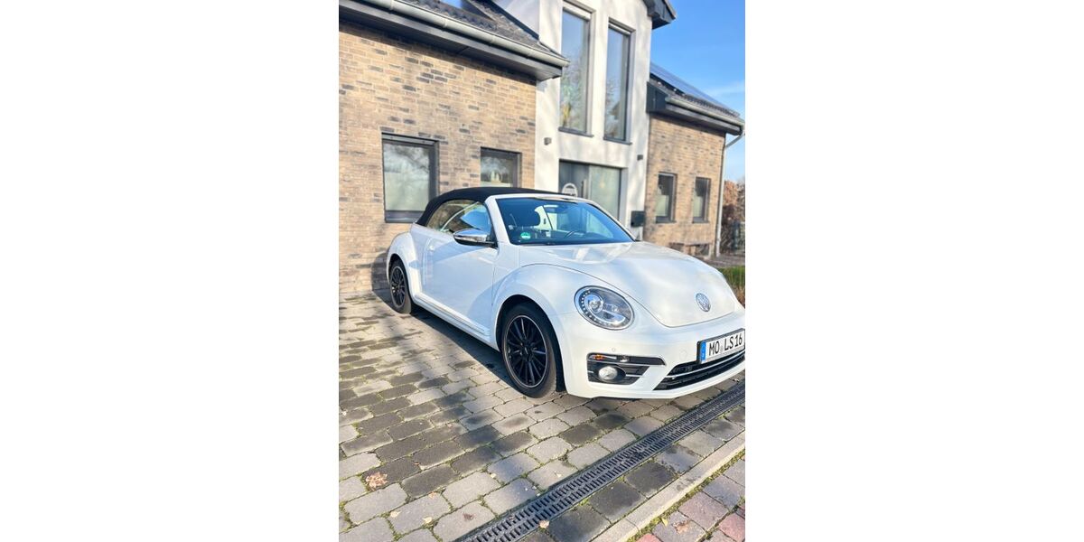 VW Beetle 103.000 km 13.500 € Alpen 46519