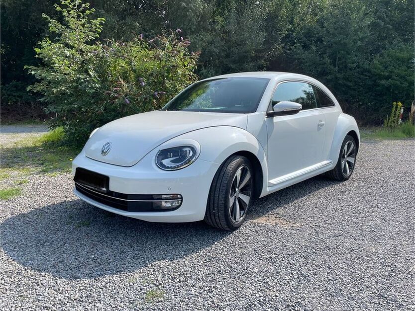 Beetle