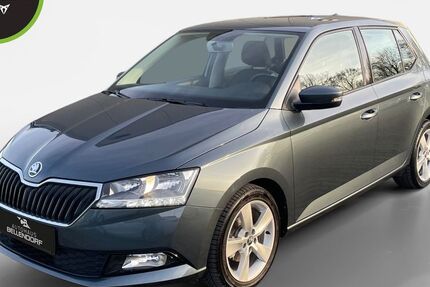Skoda Fabia 10.011 km 13.470 &euro; Bottrop 46244