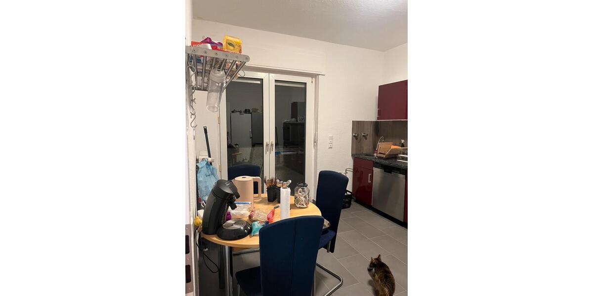 Erdgeschoßwohnung Essen Stadtbezirk VII - 4 Zimmer, 64 m&sup2;, 370&euro; | Angebot:26361256