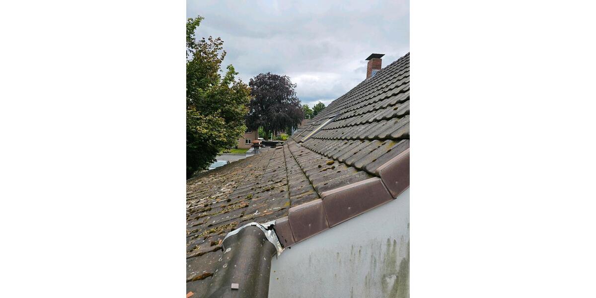 Wohn Geschäftshaus Stellplätze Bauland 5 zimmer