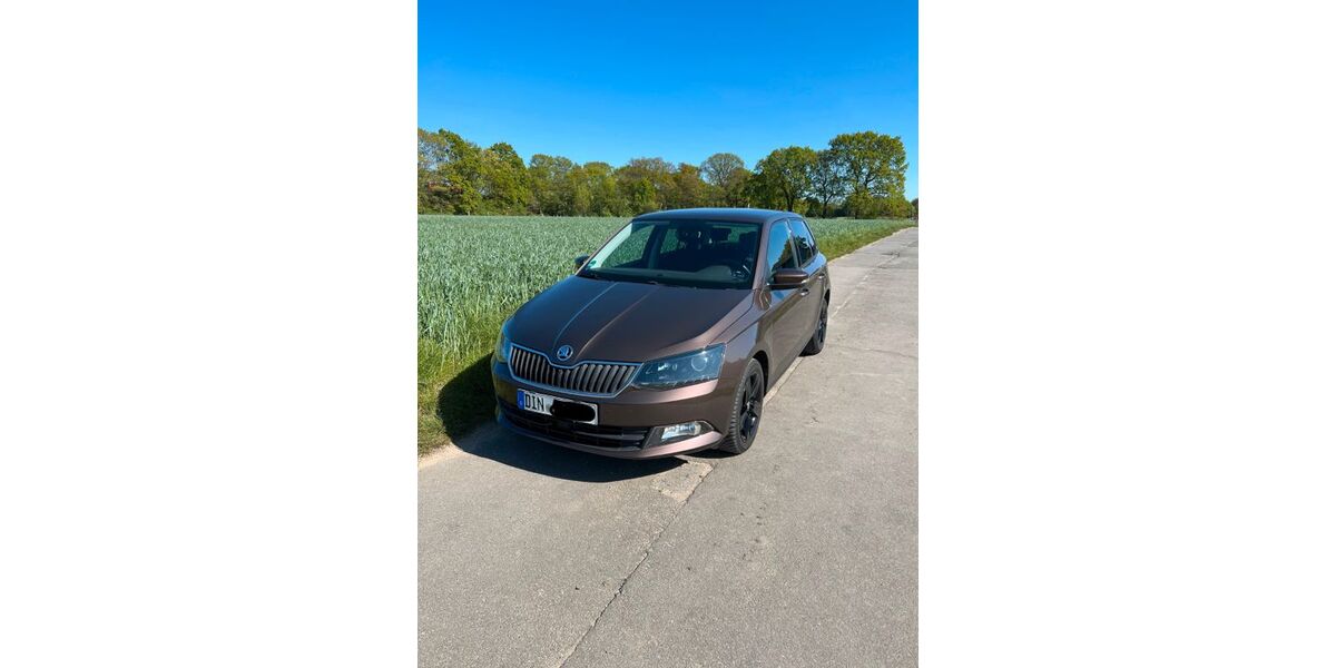 Skoda Fabia 145.000 km 8.395 &euro; Hünxe 46569