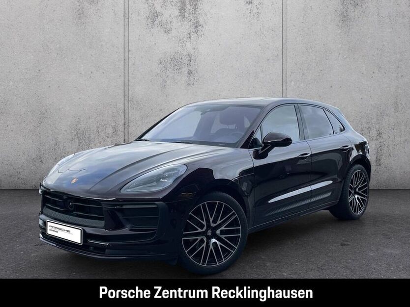 Macan
