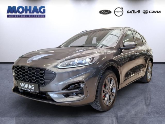 Kuga