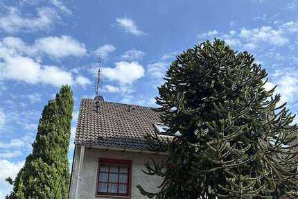Haus Essen Stadtbezirk II - 4 Zimmer, 127 m&sup2;, 469.000&euro; | Angebot:26905232