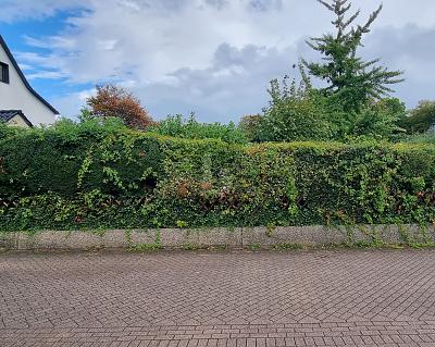 SONNENSTÜCK - UNBEBAUT UND NAHERHOLUNG - Grundstück Essen Stadtbezirk VII | Angebot:25426749