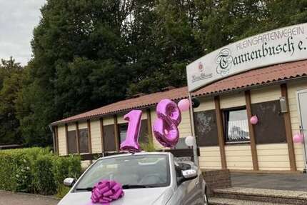 Opel Tigra 144.089 km 1.000 € Voerde 46562