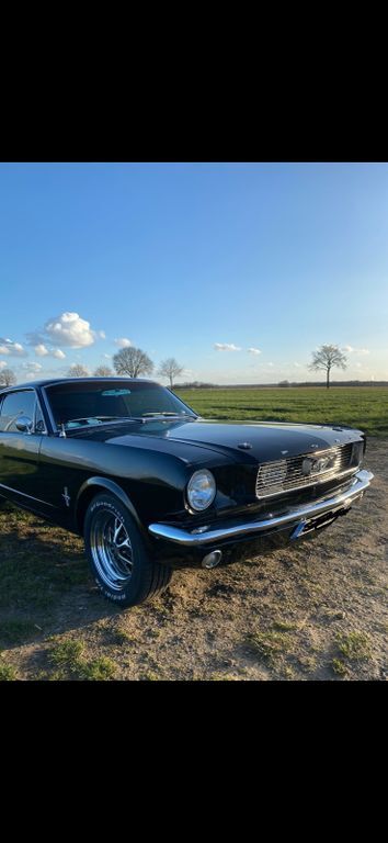 Mustang