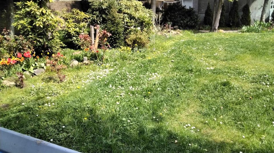 Gewerbeobjekt Oer-Erkenschwick Erkenschwick - 1.500&euro; | Angebot:26180486