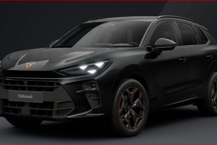 Cupra Terramar 12.930 km 41.880 &euro; Hünxe 46569