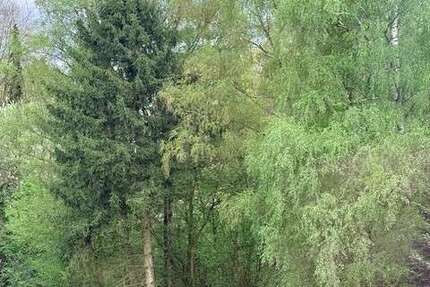 Wohnung Bochum / Weitmar Weitmar - 3.5 Zimmer, 68 m&sup2;, 612&euro; | Angebot:26266537