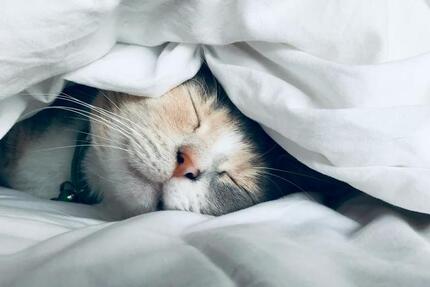 Preiswerte Mietkaufimmobilie abzugeben. Ohne Eigenkapital möglich. 4 zimmer