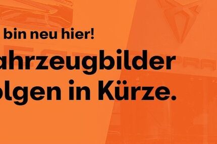 Cupra Formentor 38.956 km 26.888 € Dortmund 44379