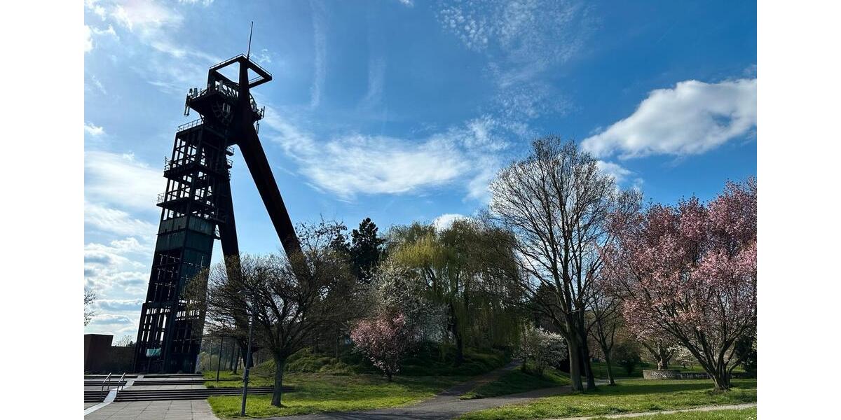 Gewerbeobjekt Recklinghausen Grullbad - 590&euro; | Angebot:26229301