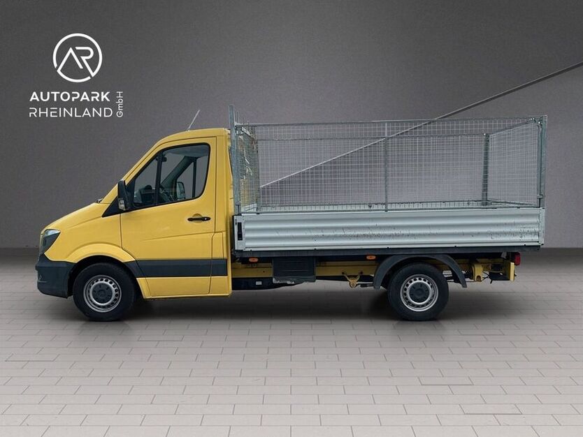 Sprinter