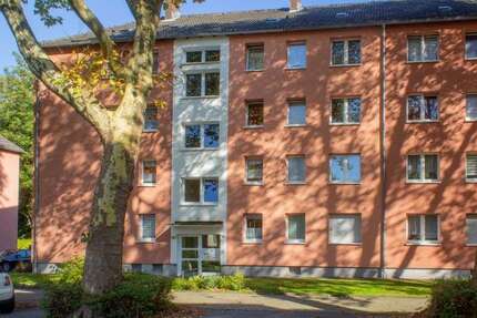 Wohnung Essen Altenessen - 3 Zimmer, 63 m&sup2;, 495&euro; | Angebot:26906327
