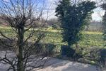 Etagenwohnung Duisburg Rheinhausen - 4 Zimmer, 190 m&sup2;, 1.800&euro; | Angebot:25378981