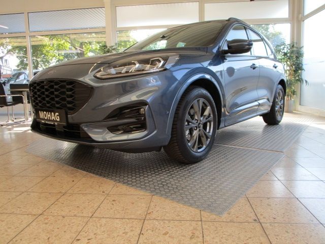 Kuga