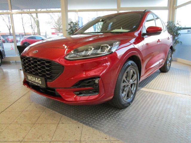 Kuga