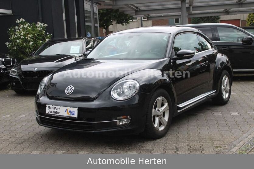 Beetle