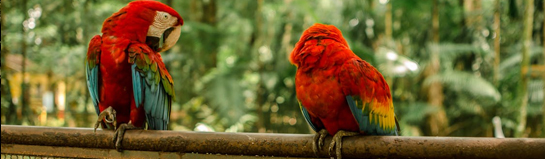 ZOOM Erlebniswelt als Tier- und Erlebniswelt