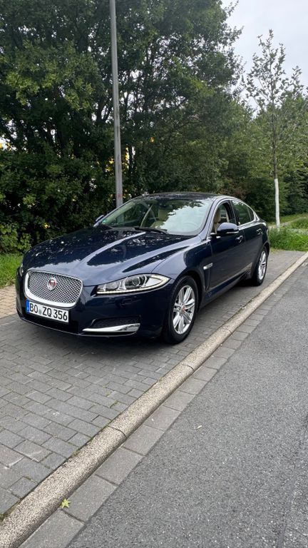 XF