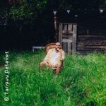 daoud - ok