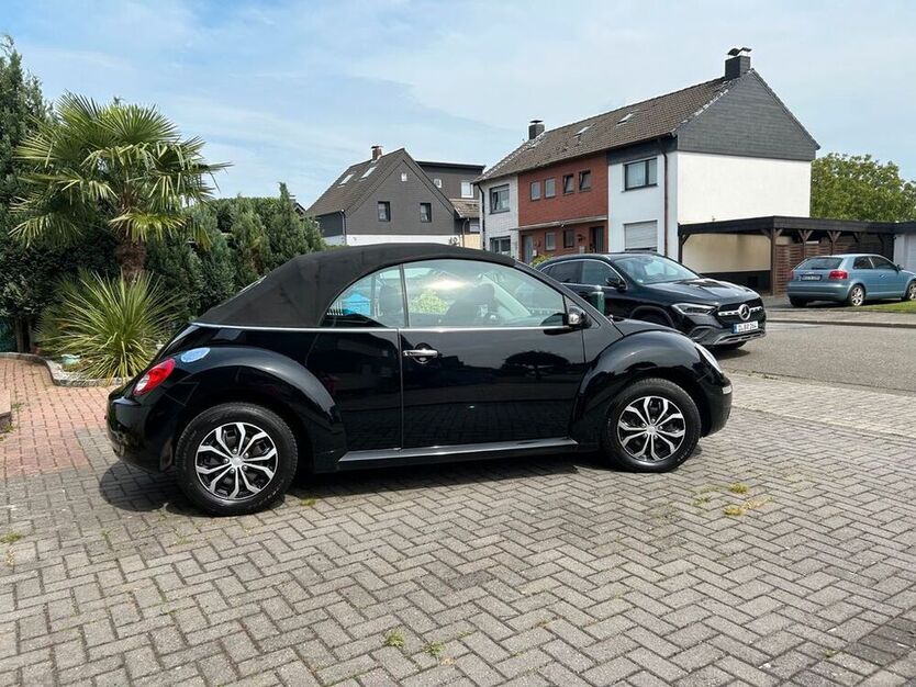 Beetle