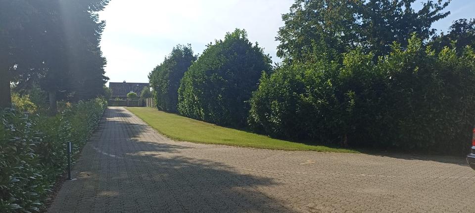 Einfamilienhaus mit großzügigem Grundstück 3 zimmer