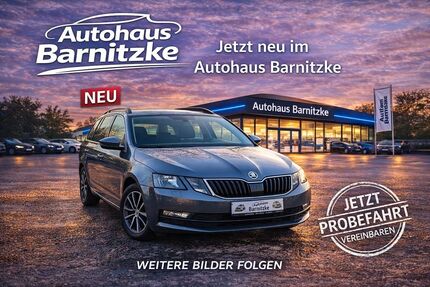 Skoda Octavia 113.145 km 15.990 &euro; Bochum 44866