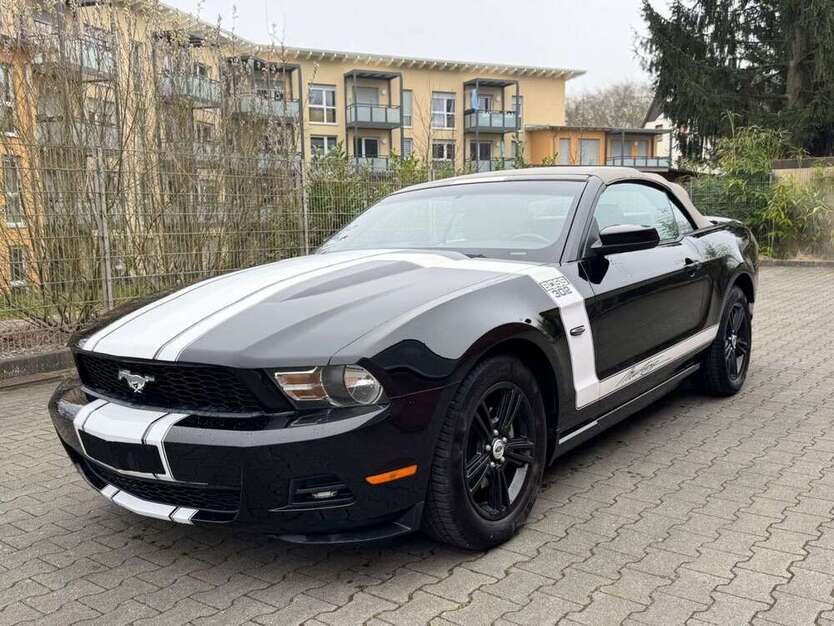 Mustang