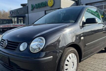 VW Polo