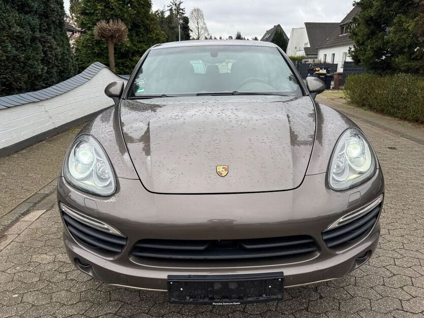 Cayenne