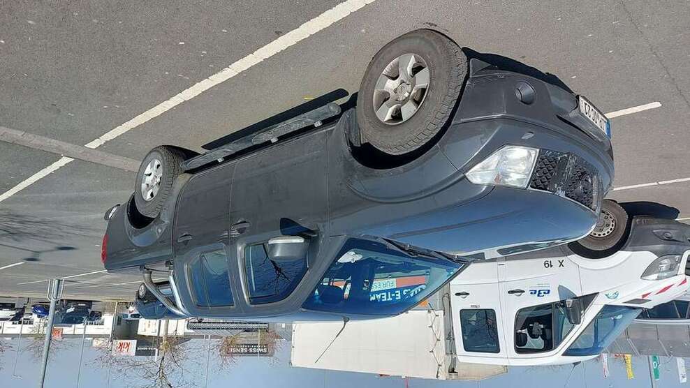 Navara