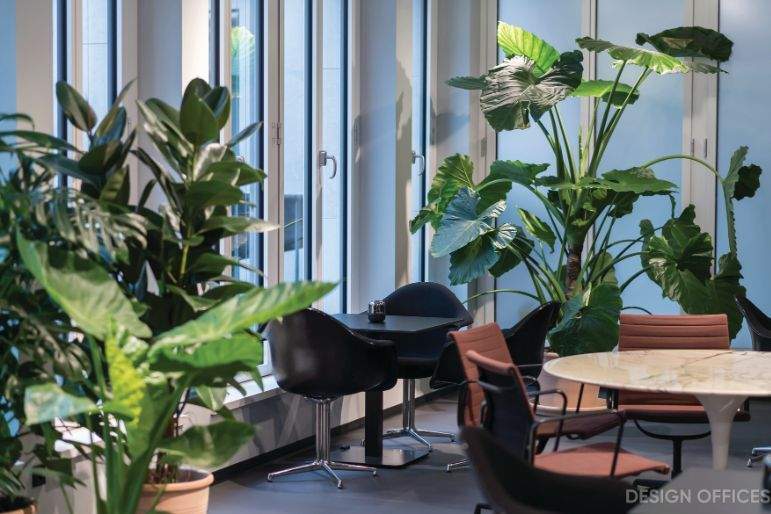 Gewerbeobjekt Essen Südviertel - 1.200&euro; | Angebot:25630143