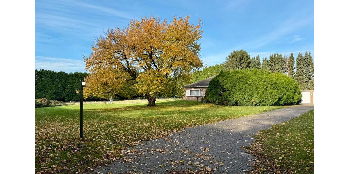 Gepflegter Bungalow mit großem Grundstück, Vollkeller, Sauna 6 zimmer