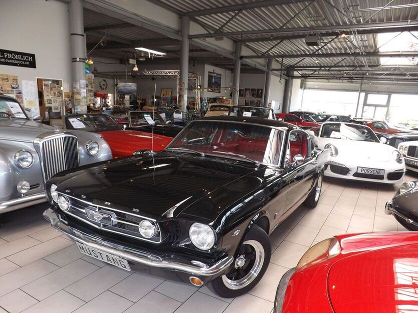 Mustang