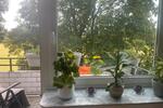 Maisonettenwohnung Ratingen Tiefenbroich - 4 Zimmer, 115 m&sup2;, 425.000&euro; | Angebot:26765824