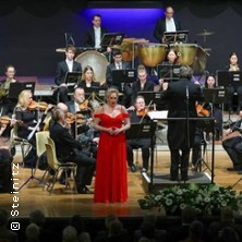 Neujahrskonzert - Europäisches Festival Orchester