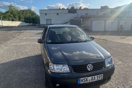 VW Polo