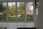 Reihenhaus Essen Stadtbezirk VIII - 6 Zimmer, 170 m&sup2;, 480.000&euro; | Angebot:26944775