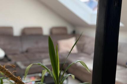 Wohnung Bochum Werne - 3 Zimmer, 92 m&sup2;, 245.000&euro; | Angebot:26613101