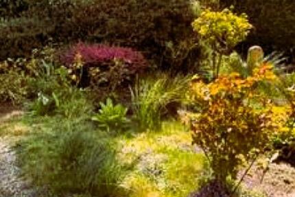 Barrierefreie 3-Zimmer Wohnung mit Terrasse im EG, Bochum-Linden 3 zimmer