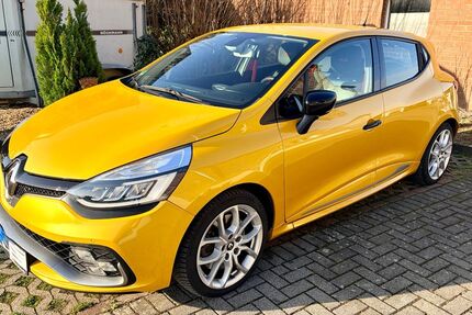 Renault Clio 88.761 km 14.990 &euro; Alpen 46519